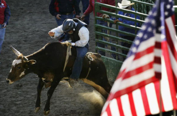 Steer-Riding.jpg