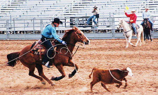 Mounted-Roping.jpg