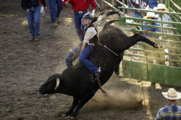 Bull-Riding.jpg